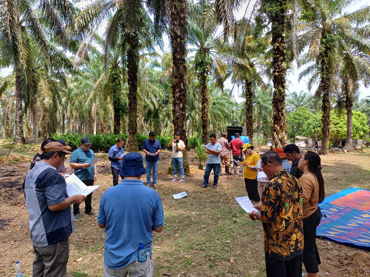 Pimpinan Sinode GKPS Memulai Replanting Kelapa Sawit Di Juma Bolag GKPS